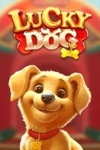 Lucky Dog